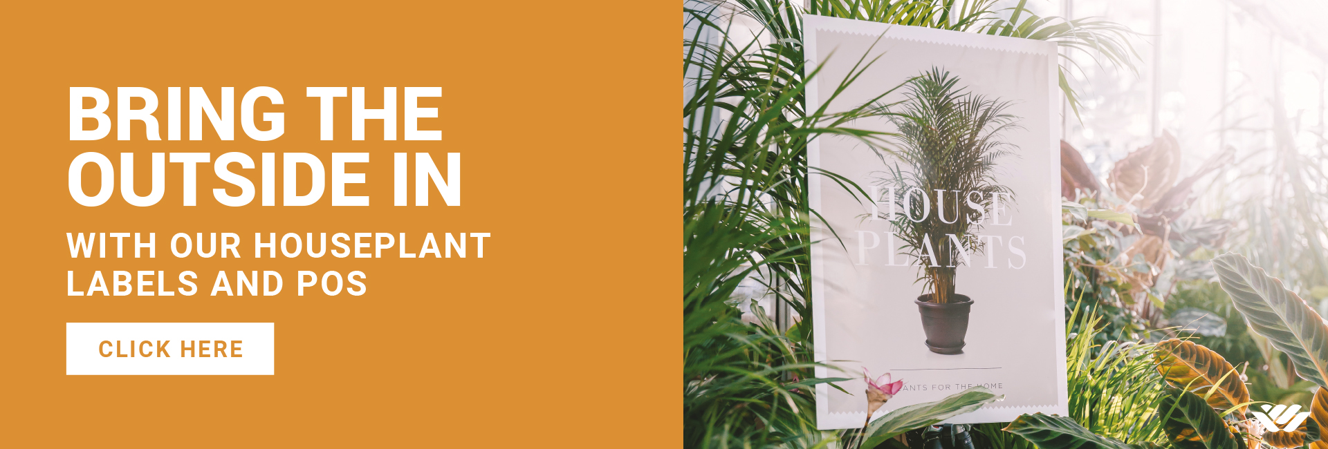 Houseplants